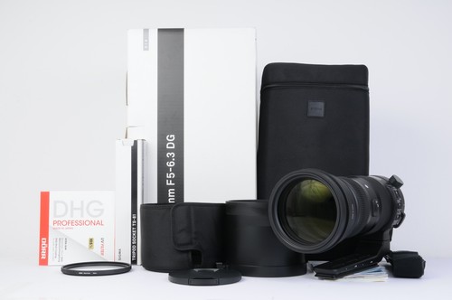 Sigma 150 600mm - 1:5-6.3, sports