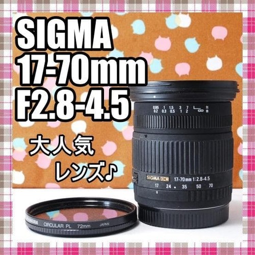 Canon obiettivo standard sigma - canon,